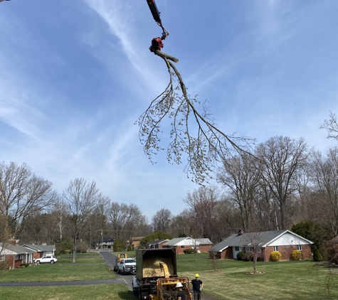 Extreme Tree Service - Swanton, OH