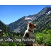 Star Valley Dog Walking gallery