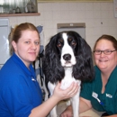 VCA Anderson Animal Hospital - Veterinary Clinics & Hospitals