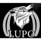 Lupo Dumpster Rentals and Junk Removal