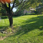 Kener Landscaping