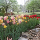 HBA Landscaping - Landscape Designers & Consultants