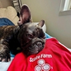 Greg LoCascio - State Farm Insurance Agent gallery