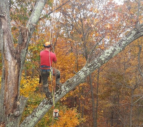 Staunton Tree Service Inc