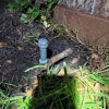 Roto-Rooter Plumbing & Water Cleanup gallery