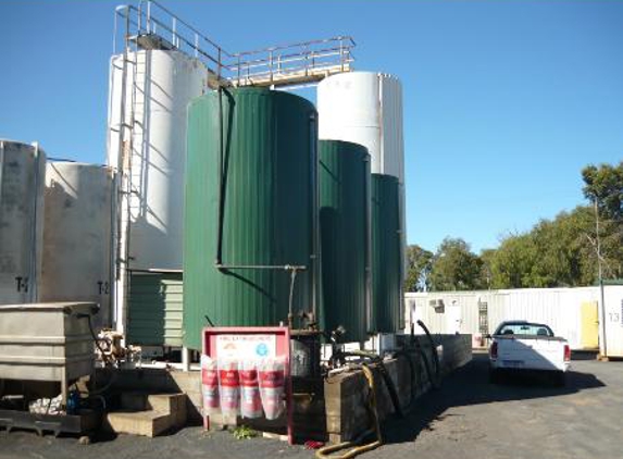 Wren Oil