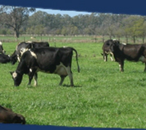Preston Rowe Paterson Shepparton Pty Ltd - Shepparton, VIC
