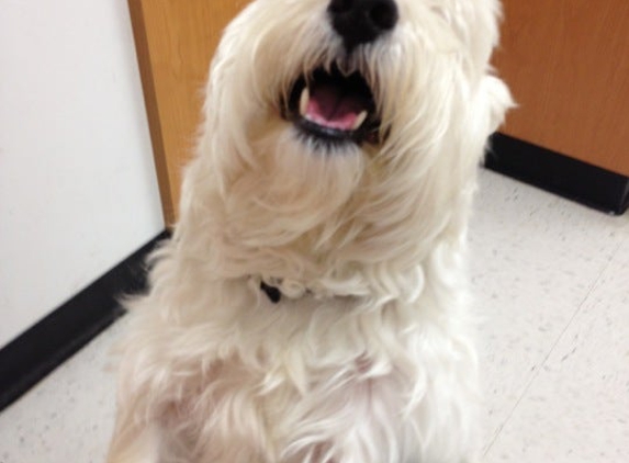 PetSmart - Temple, TX