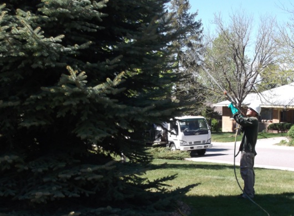 J & J Tree Care - Denver, CO