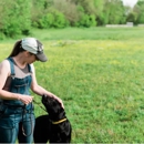 Kindred Spirits Dog Training - Pet Boarding & Kennels