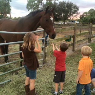 Rockin N Stables - Pelham, GA