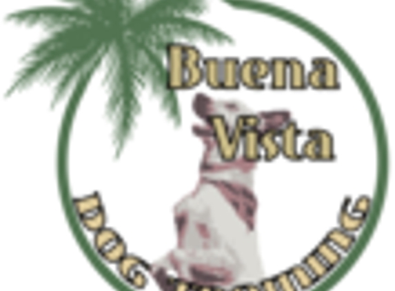 Buena Vista Dog Training