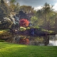 Carter's Nursery Pond & Patio