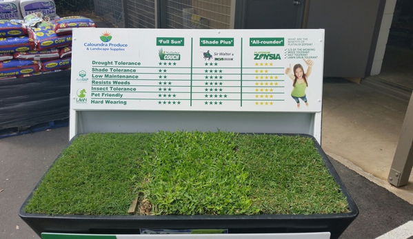 Caloundra Produce and Landscape Supplies - Little Mountain, QLD. Lawn