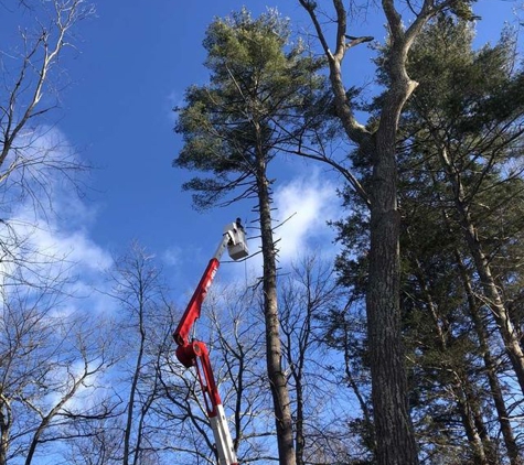 Burke's Tree Service - Rochester, NH