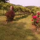 Riverview Vineyard - Farm Management Service