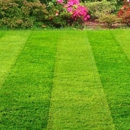 Pell city lawn care and landscaping - Landscaping & Lawn Services