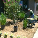 Charly Landscaping - Landscape Contractors