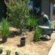 Charly Landscaping