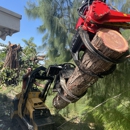 Tree Jaws - Tree Service