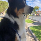 Gallery Image Number 3