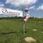 Daniel's Vineyard