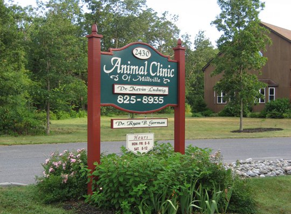 Animal Clinic of Millville - Millville, NJ