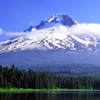 Oregon Health Benefits Online gallery