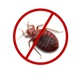 FL Bed Bug Experts