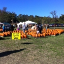 Georgia Apple Festival - Tourist Information & Attractions