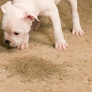 Atascocita Carpet Pros - Carpet & Rug Repair