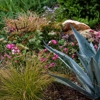 Bare Roots Gardening gallery