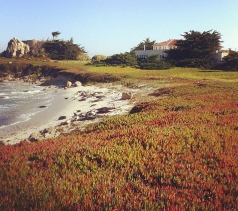 Hopkins Marine Station - Pacific Grove, CA