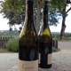 Copain Wines