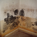 Allergen Control Inc - Mold Remediation