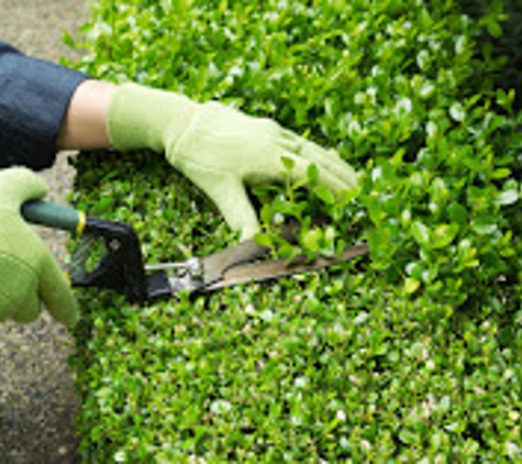 M & M Lawn Services - Venice, FL