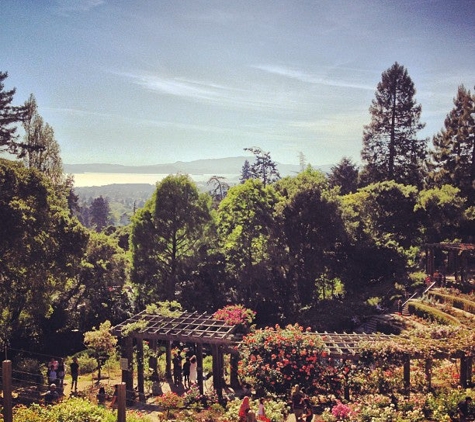 Codornices Park - Berkeley, CA