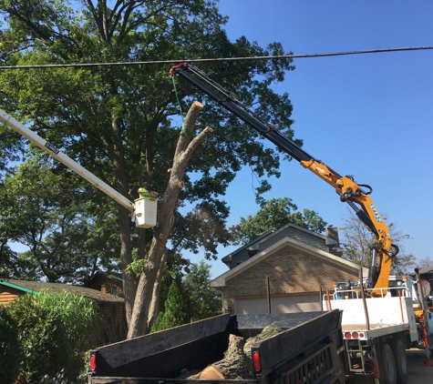 Dave's Tree Service LLC - Gregory, MI