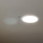 Insight Pest Solutions