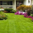 Segura Landscaping & Sod - Sod & Sodding Service