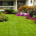 Segura Landscaping & Sod