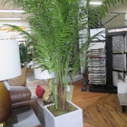 Foxy Rug & Furniture Galleria