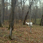 Father Hennepin State Park