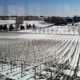 Grandview Vineyard