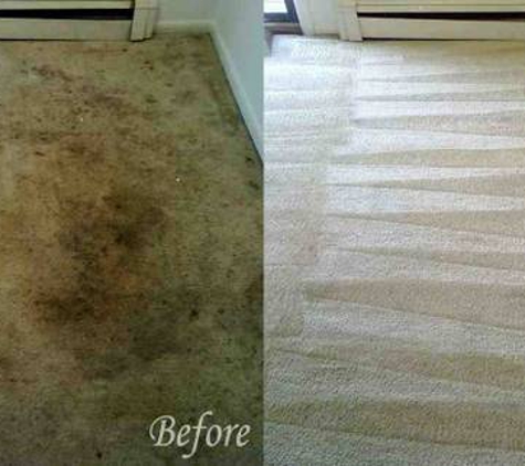 pristine carpet steam cleaning - Huntington Beach, CA