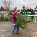 Medina Christmas Tree Farm - Christmas Trees