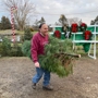 Medina Christmas Tree Farm
