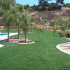 Green California Turf