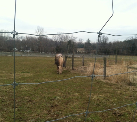 Griggstown Farm - Princeton, NJ