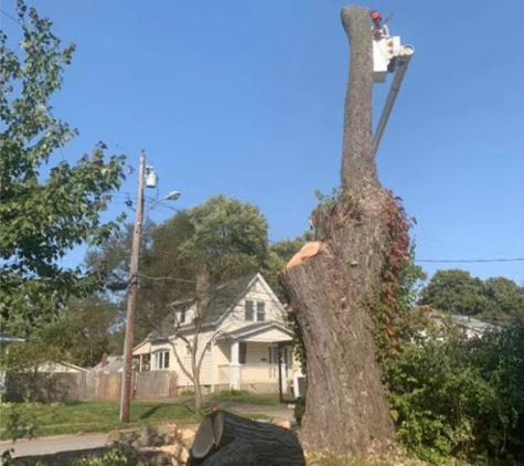 Jaime's Tree Service - Hamilton, OH